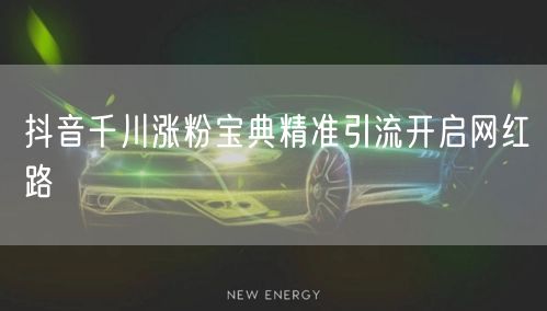 抖音千川涨粉宝典精准引流开启网红路