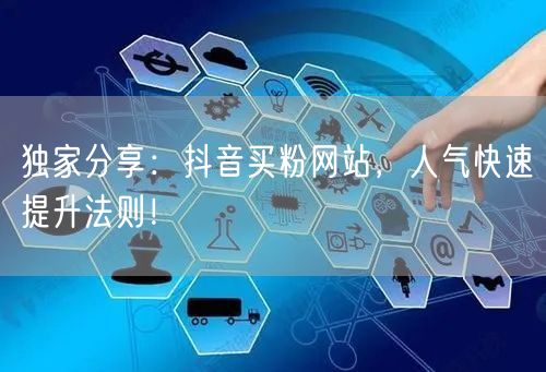 独家分享：抖音买粉网站，人气快速提升法则！