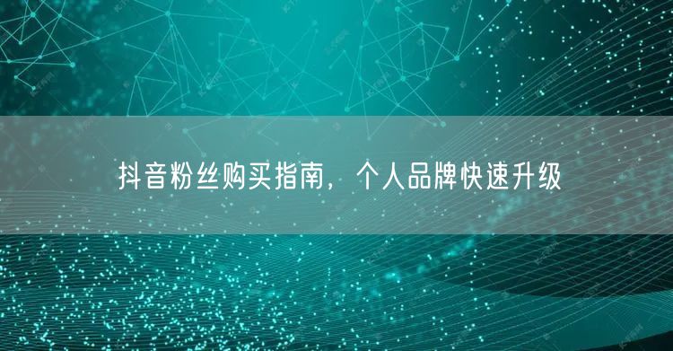 抖音粉丝购买指南，个人品牌快速升级