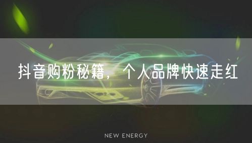 抖音购粉秘籍，个人品牌快速走红
