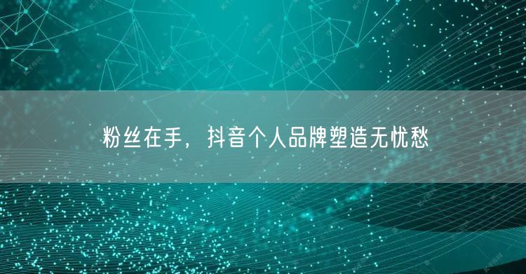 粉丝在手，抖音个人品牌塑造无忧愁