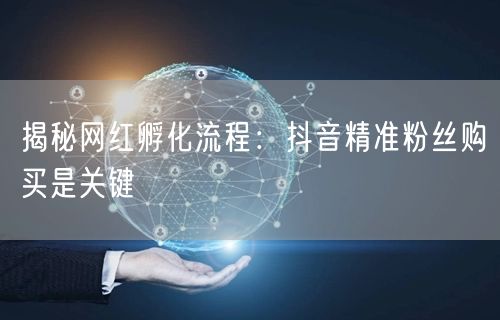 揭秘网红孵化流程：抖音精准粉丝购买是关键