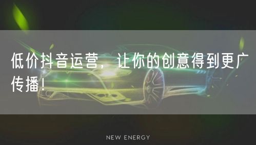 低价抖音运营，让你的创意得到更广传播！